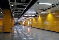 ����ӯ��